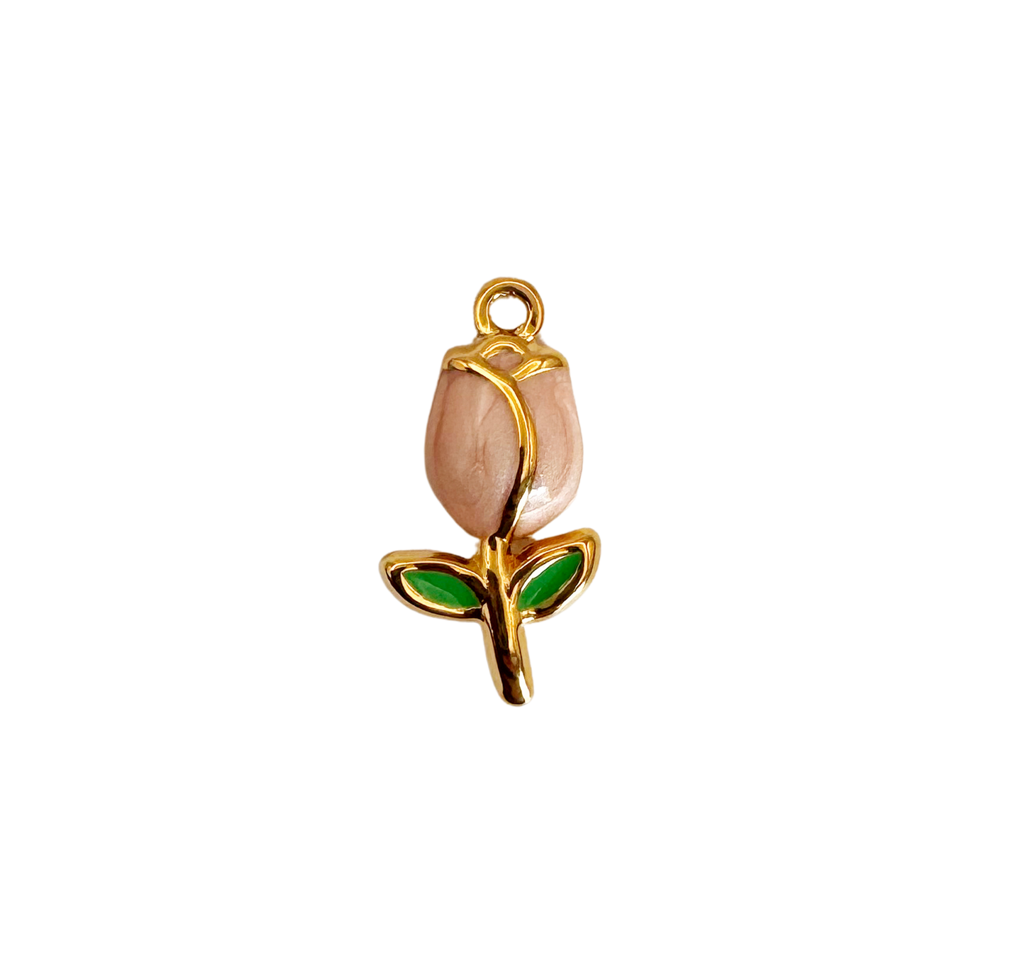 Tulipe
