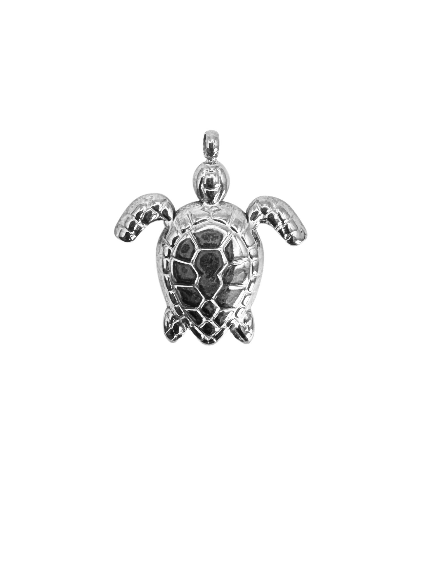 Tortue
