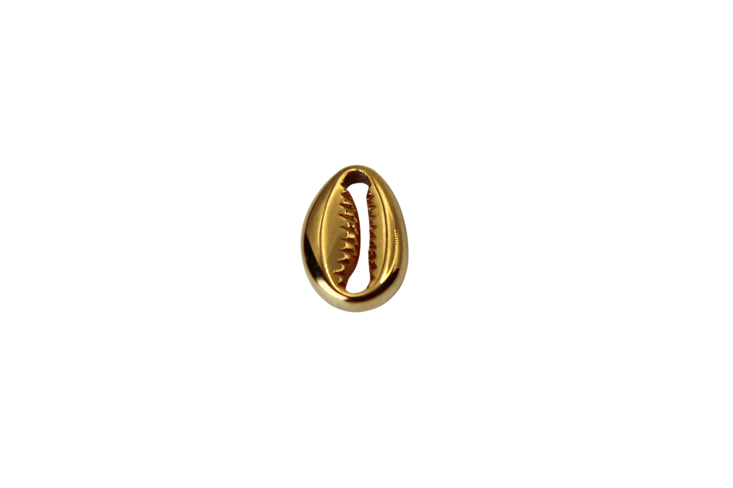 Coquillage
