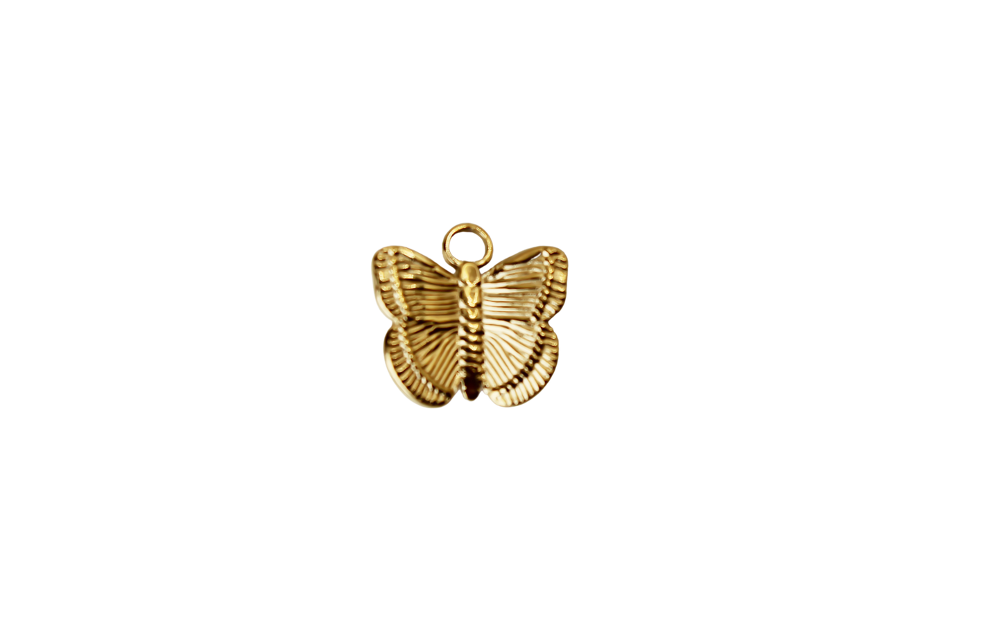 Papillon