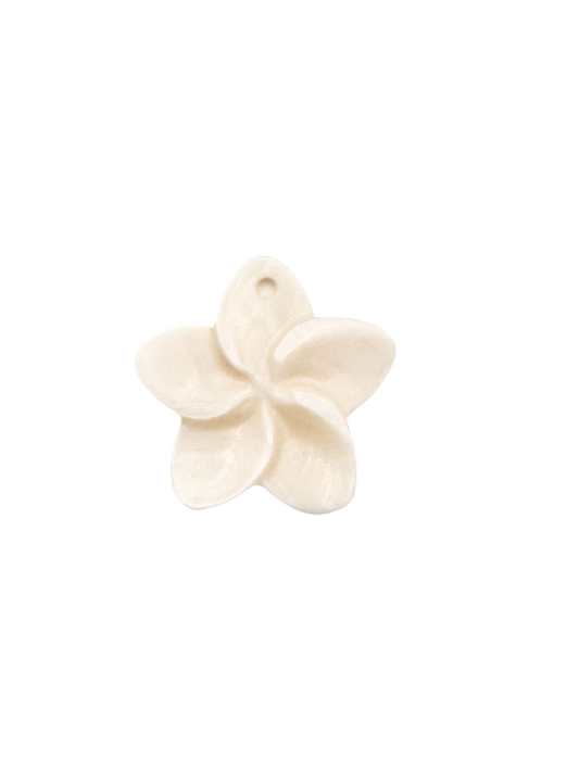 Fleur blanche