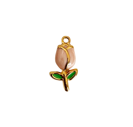 Tulipe