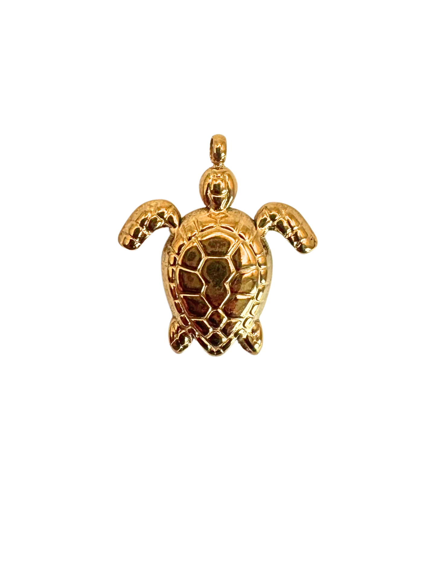 Tortue