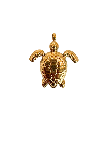 Tortue