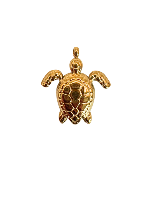 Tortue