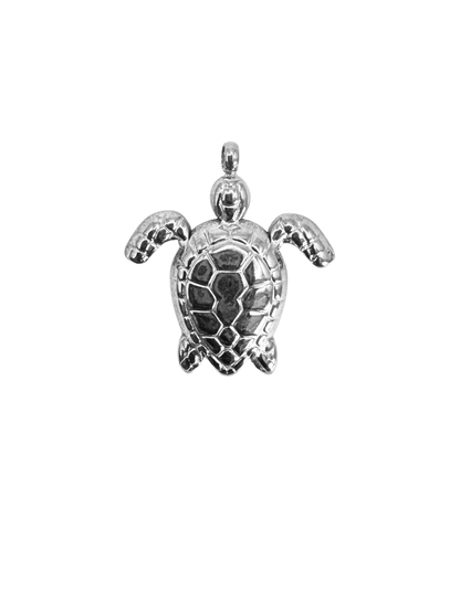Tortue