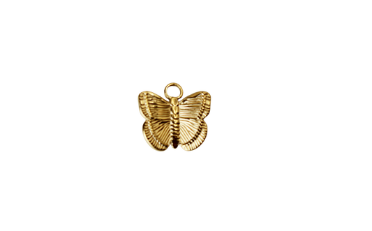 Papillon