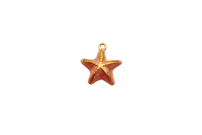 Étoile de mer colorée