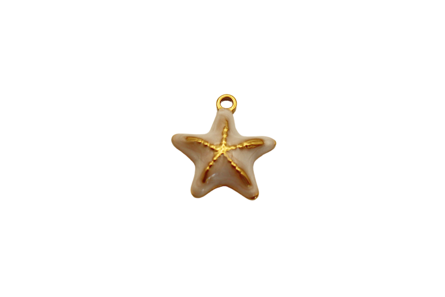 Étoile de mer colorée