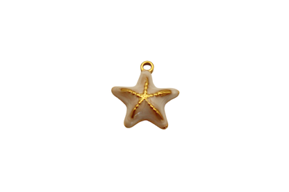 Étoile de mer colorée