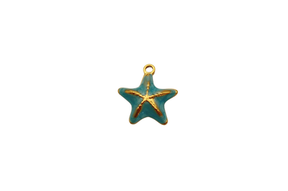 Étoile de mer colorée